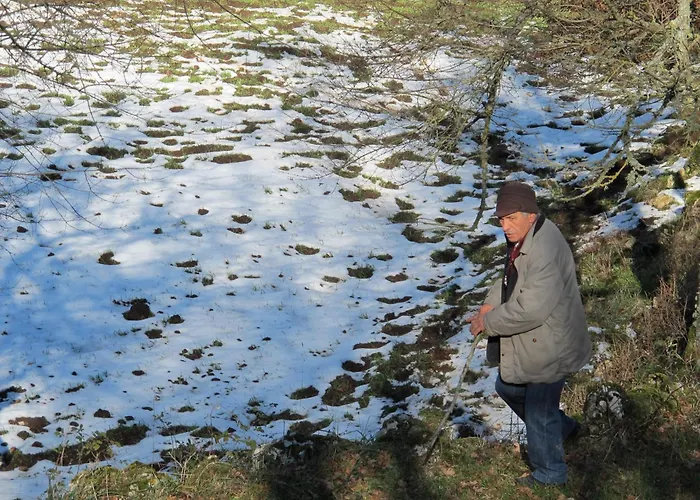 Agriturismo Monte Sacro Mattinata